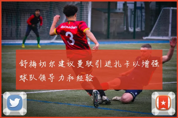 舒梅切尔建议曼联引进扎卡以增强球队领导力和经验