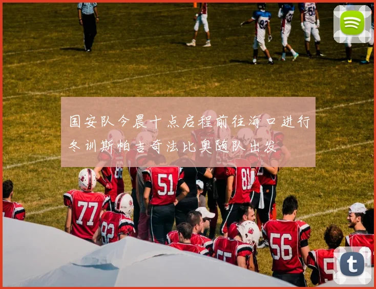 国安队今晨十点启程前往海口进行冬训斯帕吉奇法比奥随队出发