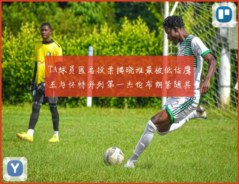 TA球员匿名投票揭晓谁最被低估鹰王与怀特并列第一杰伦布朗紧随其后